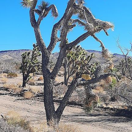 4th image of 0 W La Selva Dr Lot 152-153