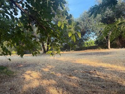 3293 Middleton Ln, Redding, CA, 96002