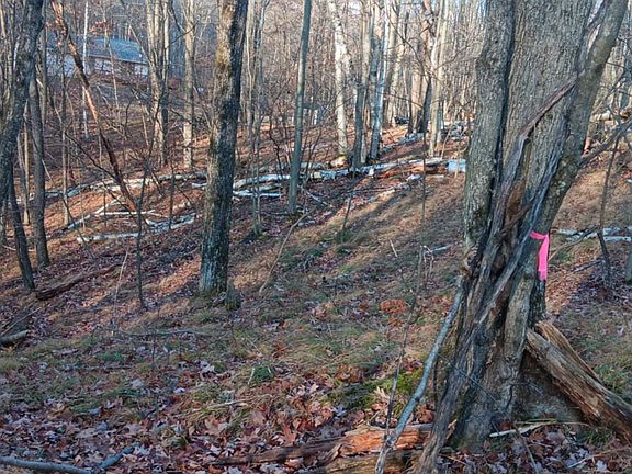 5th image of 1782 Hemlock Ln