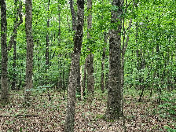 5th image of 333 Timberwood Trce Lot 333