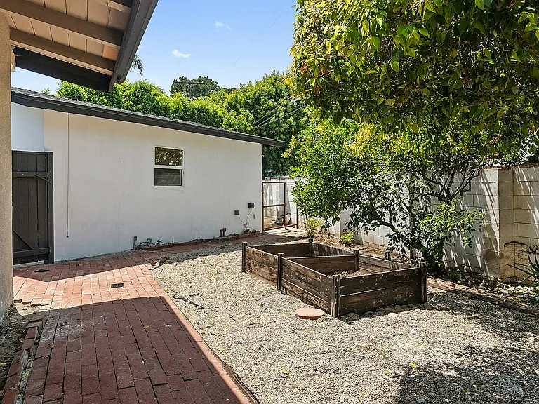 Back yard