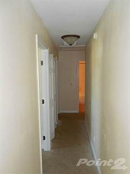 182BJuniper.paint 006