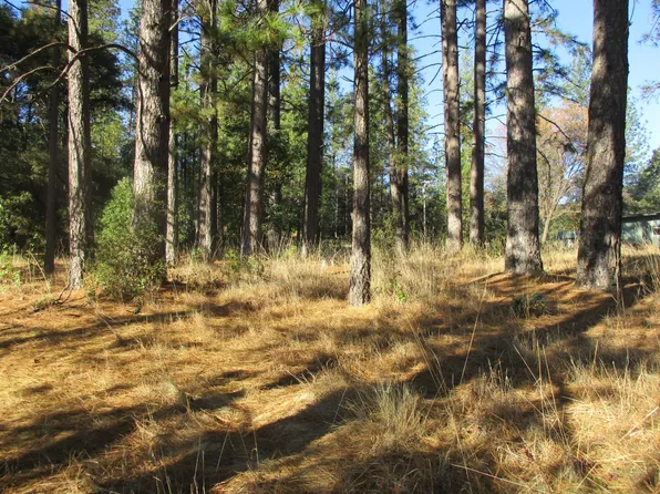 19297 Ridge Rd, Pine Grove, CA 95665