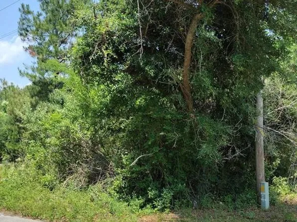 LOT Three Meagen Ln, Manning, SC 29102