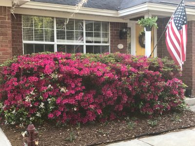 23 Rose Hill Dr, Savannah, GA, 31419