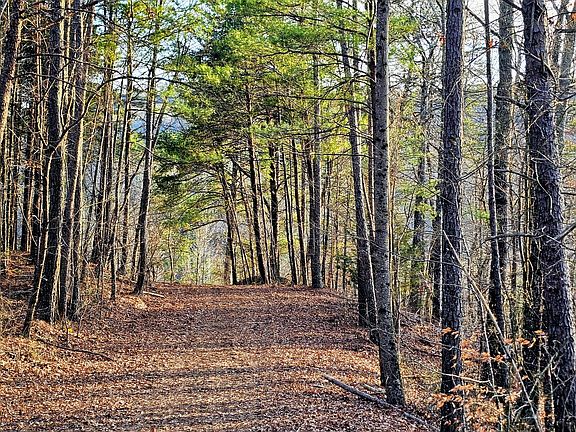 4th image of 137 Abe Ct