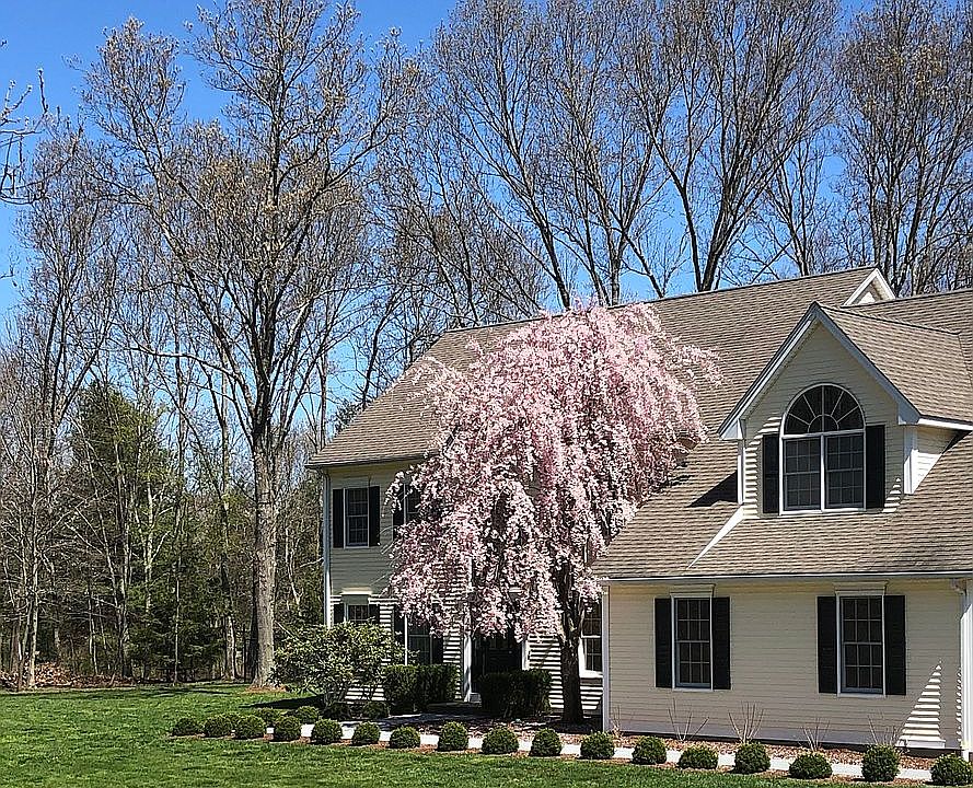 2nd image of 135 Elk Dr