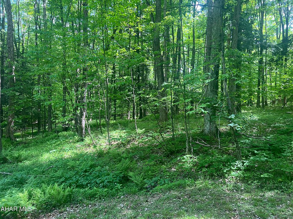 0 Hollow Ln, Fallentimber, PA 16639 Zillow