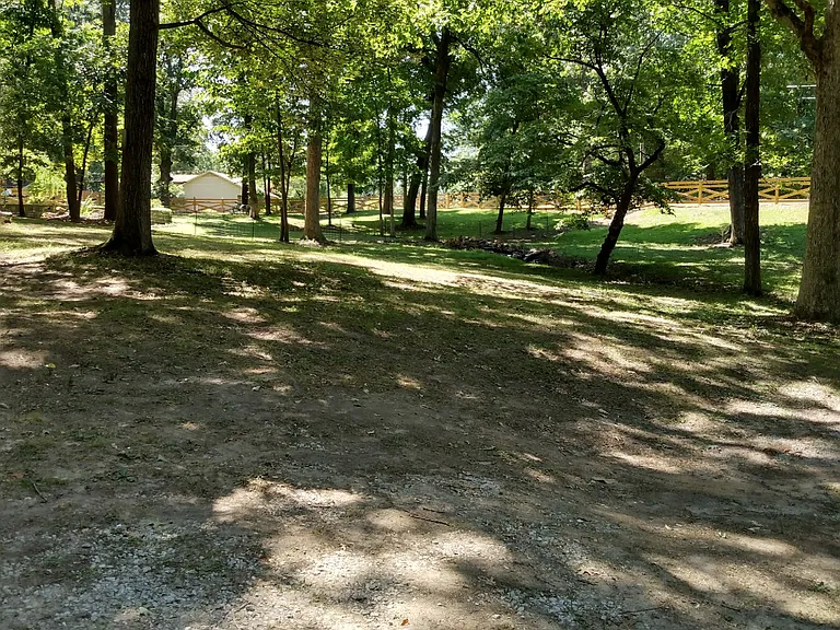 2155 Snow Lake Dr — Photo 22