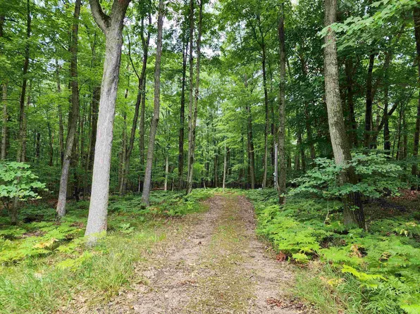 LOT 119 Elm Run, Farwell, MI 48622