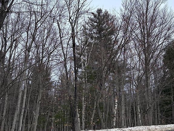 5th image of 0 Pup Hill Rd