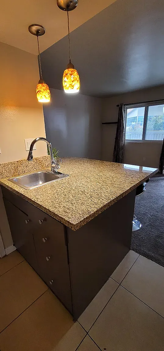 1 bed, 550 sqft, $1,595 — Photo 3