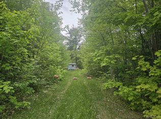 10098 Us Highway 41 S, Skandia, MI 49885