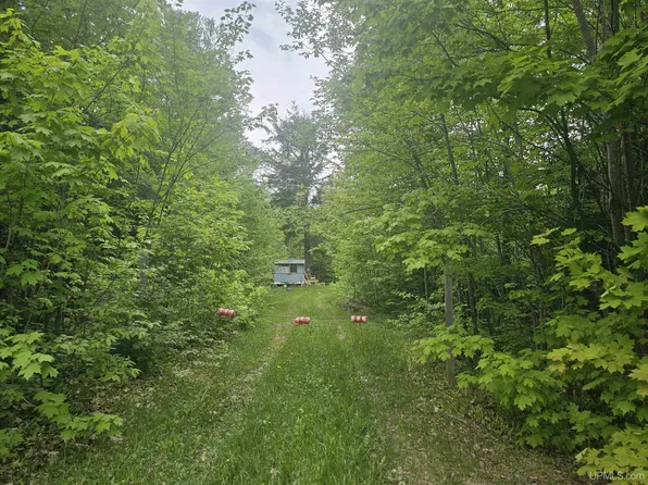 10098 Us Highway 41 S, Skandia, MI 49885