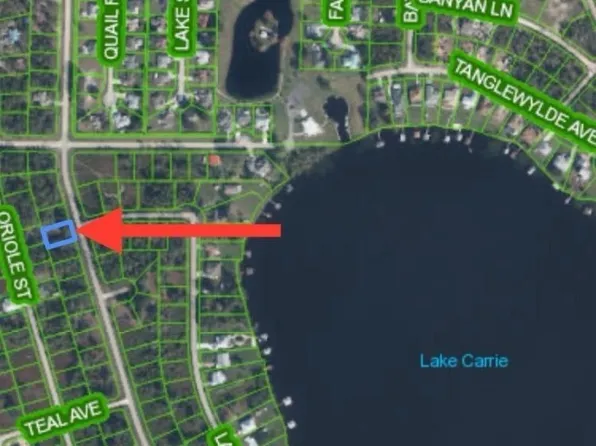 1056 Wildflower St, Lake Placid, FL 33852