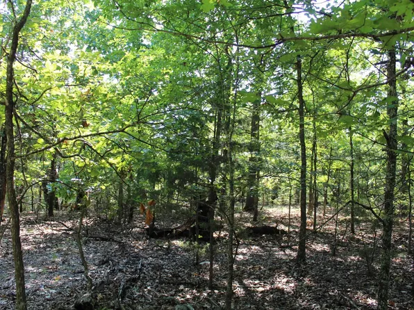 23 Eagle Ridge Rd, Protem, MO 65733