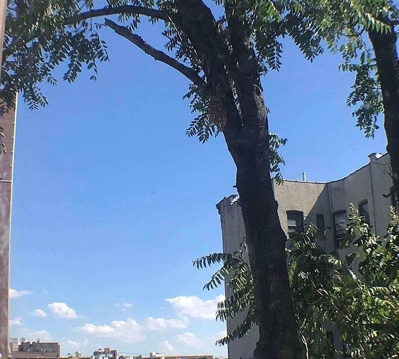 1st image of 18-12 Astoria Blvd #Top