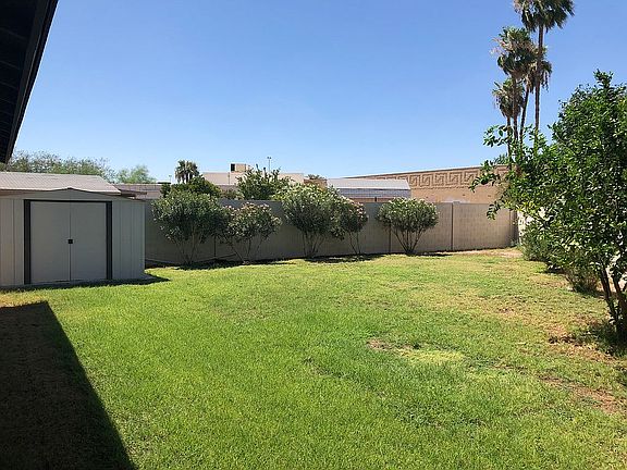 Back yard/Lemon & Lime Trees