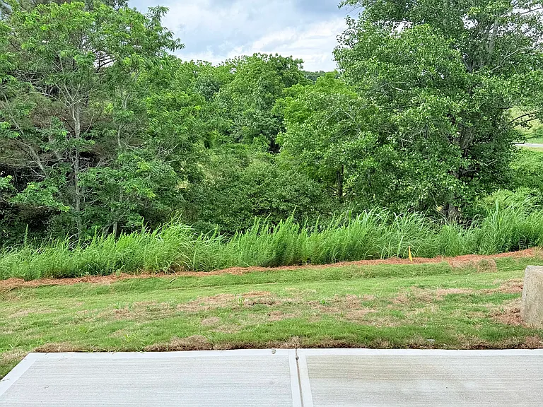 210 Deerberry Dr — Photo 19