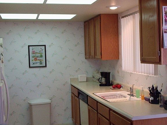 kitchen view 2