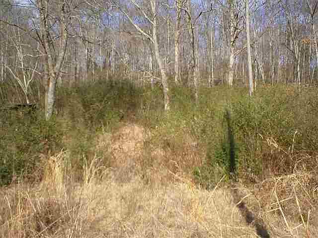2nd image of Hammerhill Rd