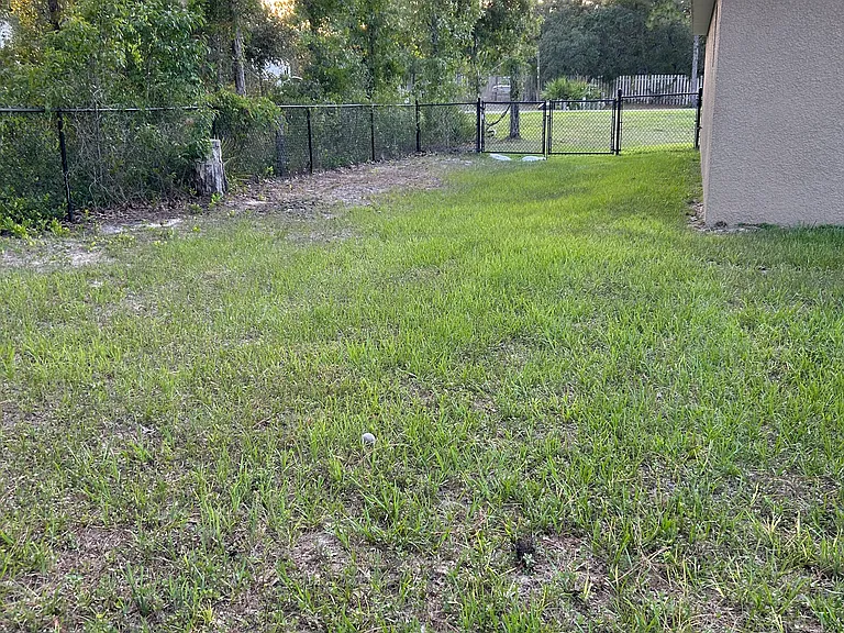 Back yard facing side