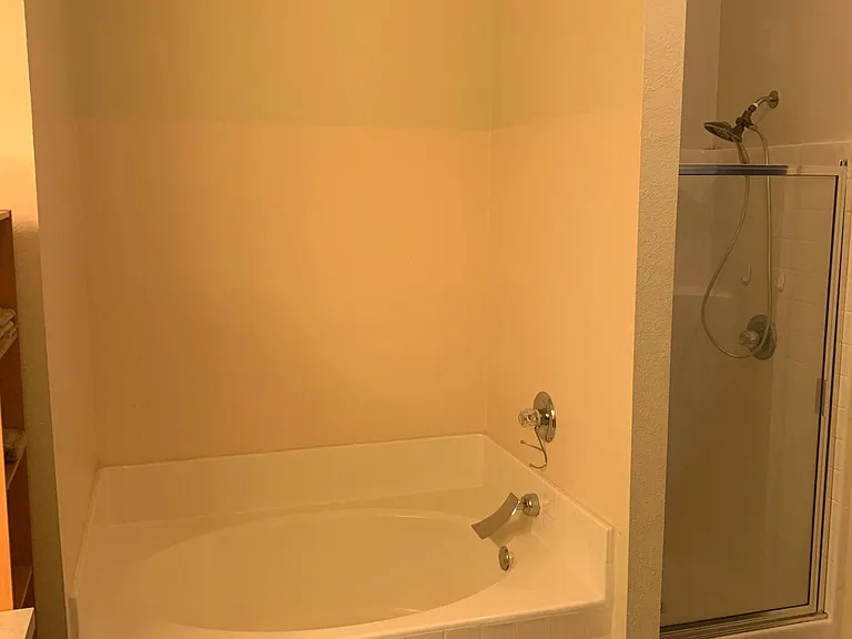 Master tub shower