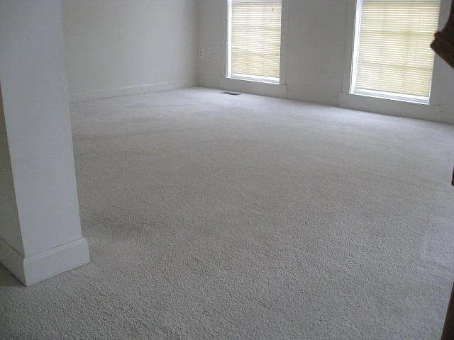 115 Elmira Ln — Photo 6