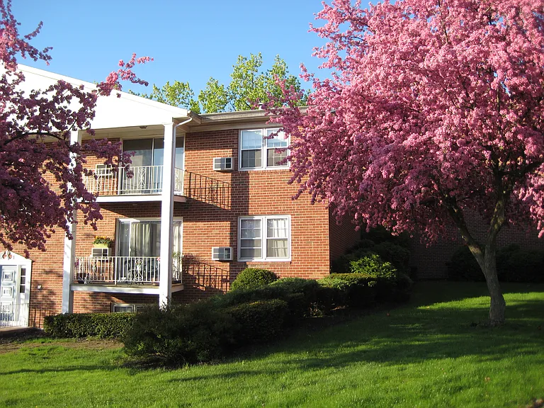 Park Hill Lane Apartments — Photo 12