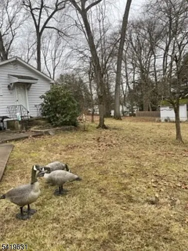 77 Wardle Ave Photo 1