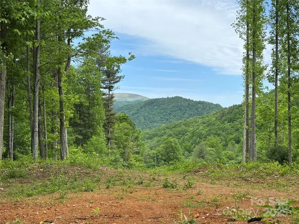 SW Lot Silas Branch Rd, Burnsville, NC 28714