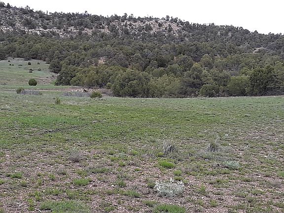 5th image of 13217 County Road 673