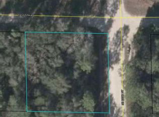  NE 830th St, Old Town, FL 32680