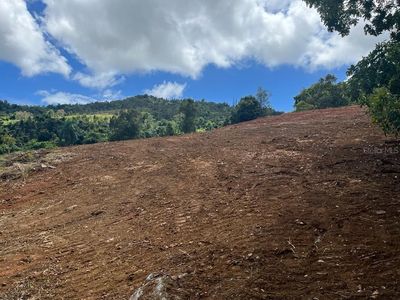 Bo Saco Rio Abajo Sr 975 Km 2.5 Lote #4, Ceiba, PR, 00735