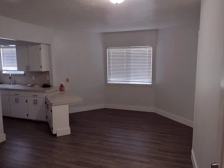 438 N Stout Ave — Photo 3