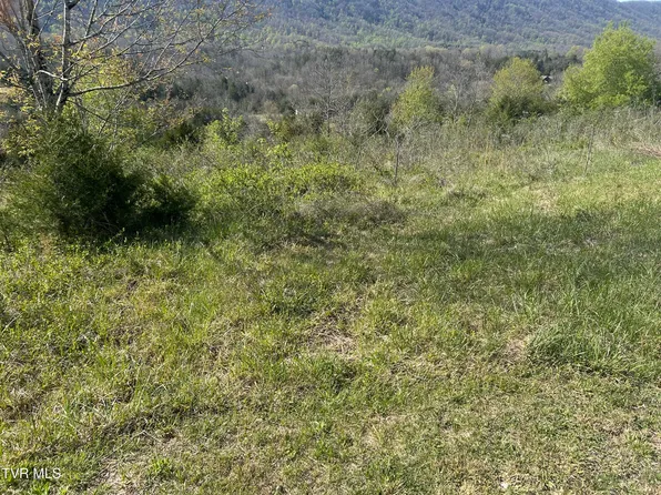 2618 Rackum Rd, Thorn Hill, TN 37881