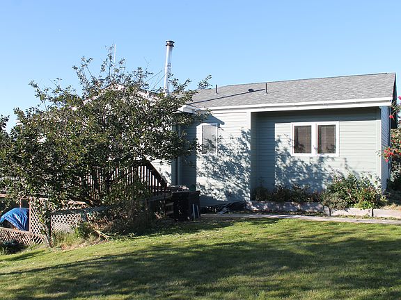 Back yard with well established trees and berry bushes