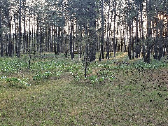  possible three lot division