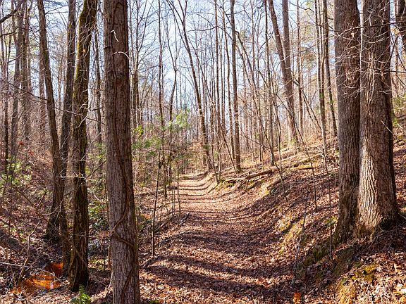 4th image of 0 Mountain Creek Hollow Dr