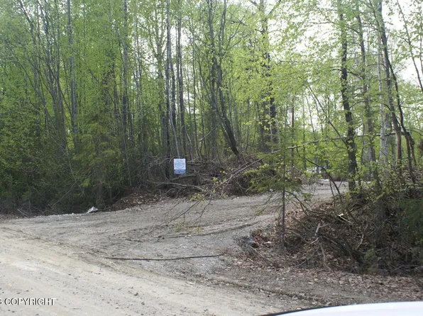 32906 S Mount Brooks Dr, Talkeetna, AK 99676