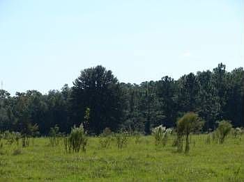 3rd image of 0 NE 155th Ave