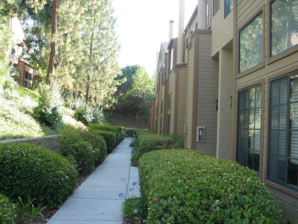 Front Pathway