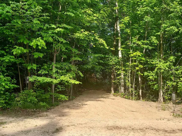 Davey St, Lake, MI 48632