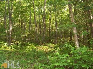 6035 Bridge Creek Rd, Tiger, GA 30576