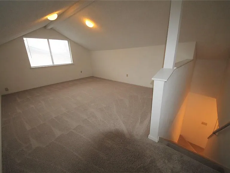 3206 Spaniel Dr — Photo 14