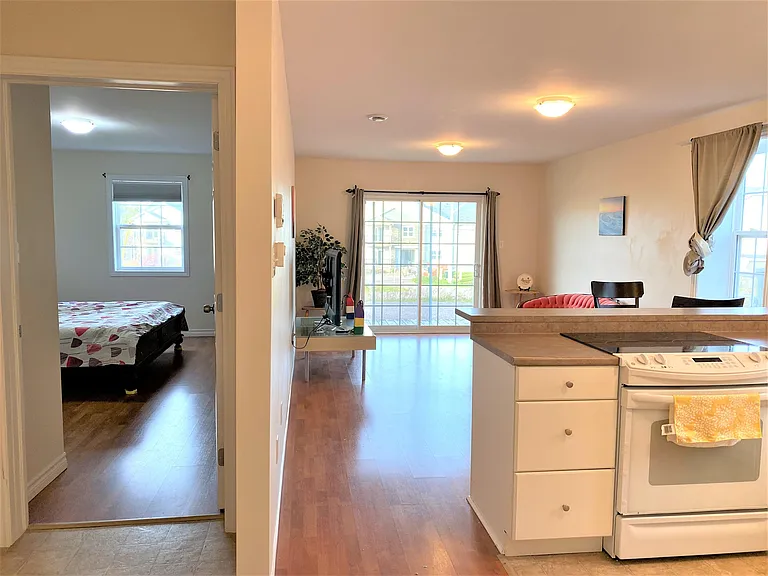 18 Elena Ct — Photo 18
