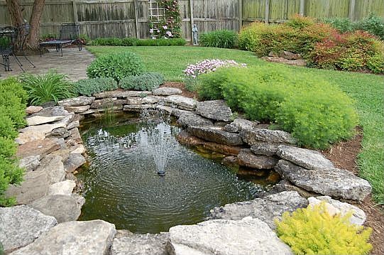 Backyard Pond