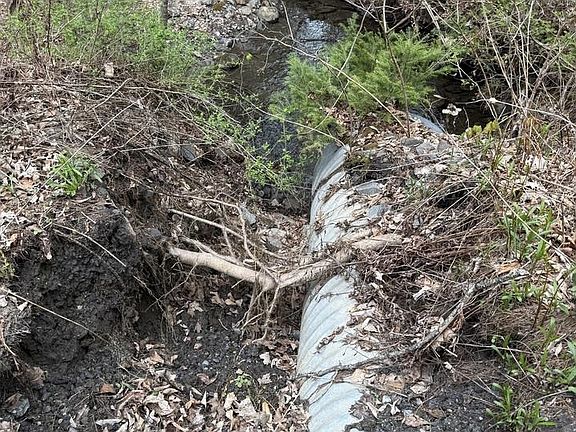 2nd image of 169 Jenkins Brook Road