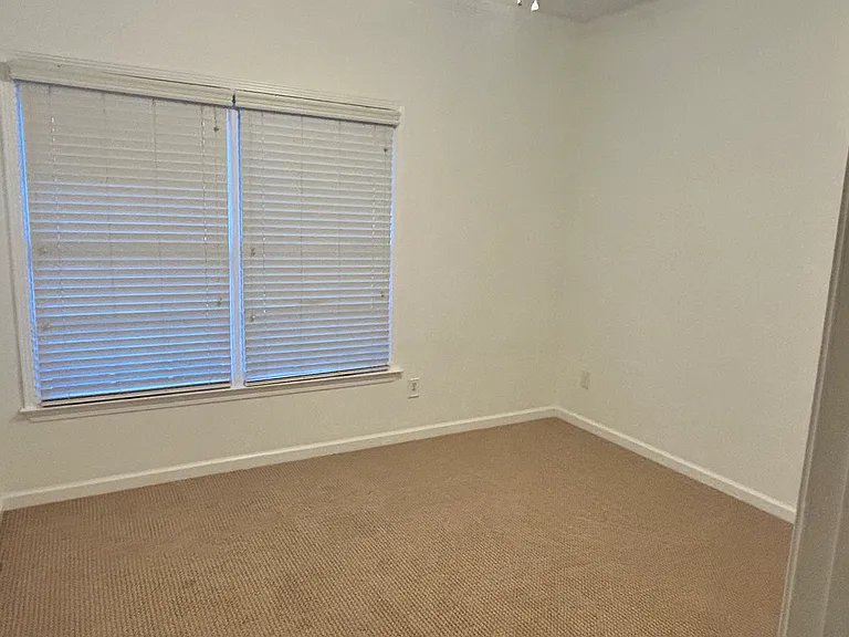 2531 Acton Park Ln #2531 — Photo 7