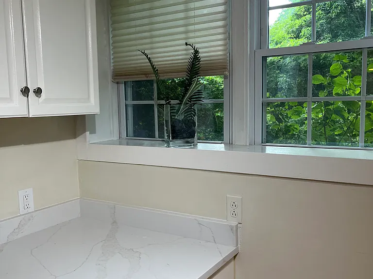 Kitchen windows